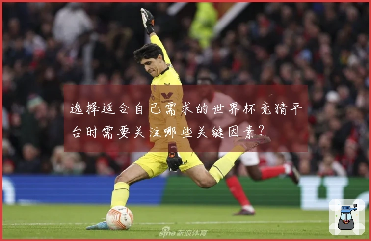 选择适合自己需求的世界杯竞猜平台时需要关注哪些关键因素？