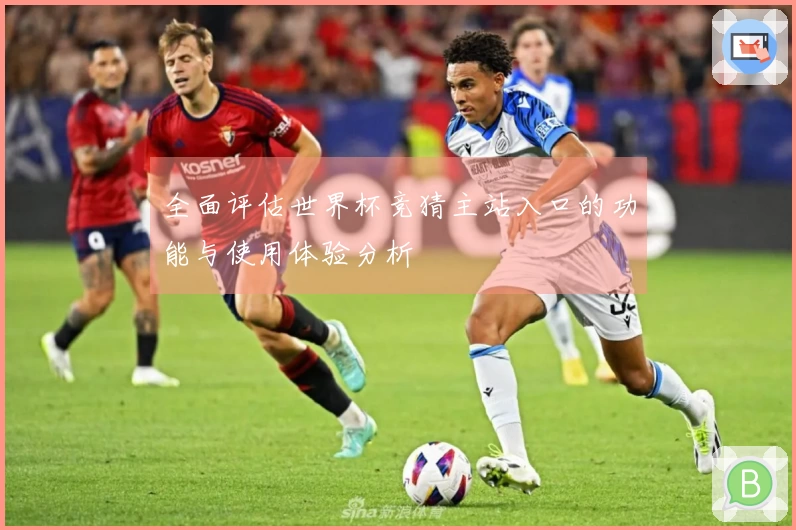 全面评估世界杯竞猜主站入口的功能与使用体验分析