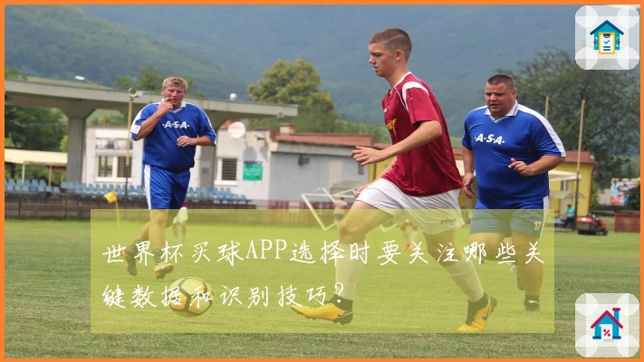 世界杯买球APP选择时要关注哪些关键数据和识别技巧？