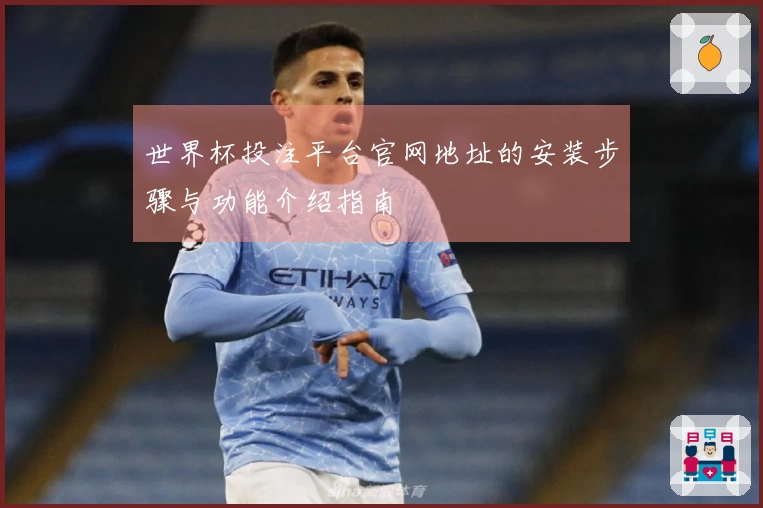 世界杯投注平台官网地址的安装步骤与功能介绍指南