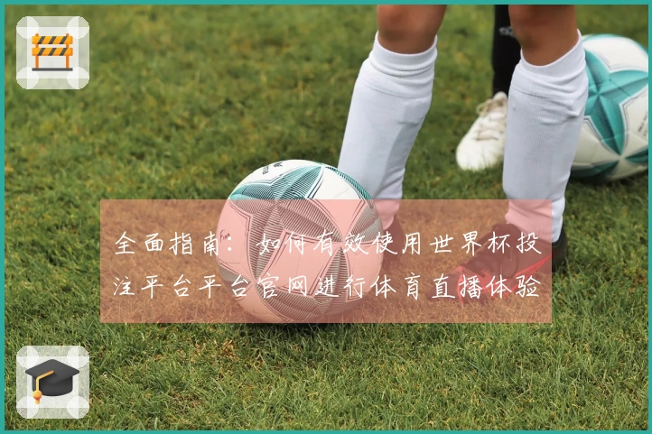 全面指南：如何有效使用世界杯投注平台平台官网进行体育直播体验
