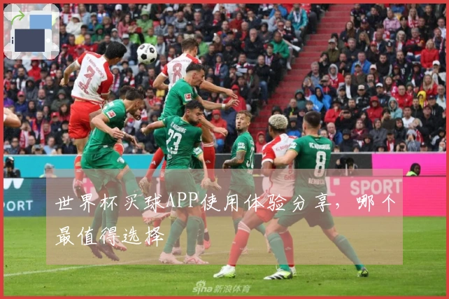 世界杯买球APP使用体验分享，哪个最值得选择