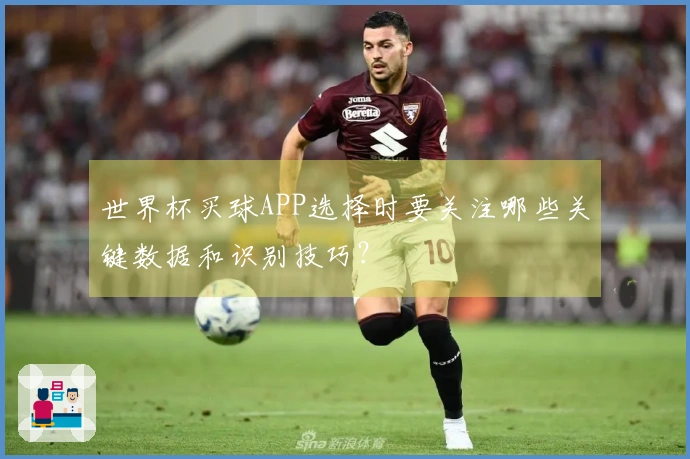世界杯买球APP选择时要关注哪些关键数据和识别技巧?