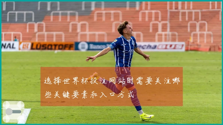 选择世界杯投注网站时需要关注哪些关键要素和入口方式