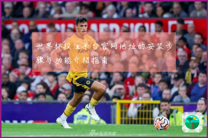 世界杯投注平台官网地址的安装步骤与功能介绍指南