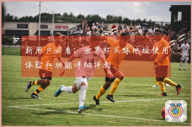 新用户必看：世界杯买球地址使用体验和功能详细评测