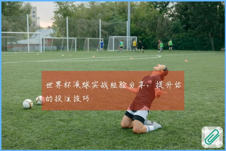 世界杯滚球实战经验分享，提升你的投注技巧