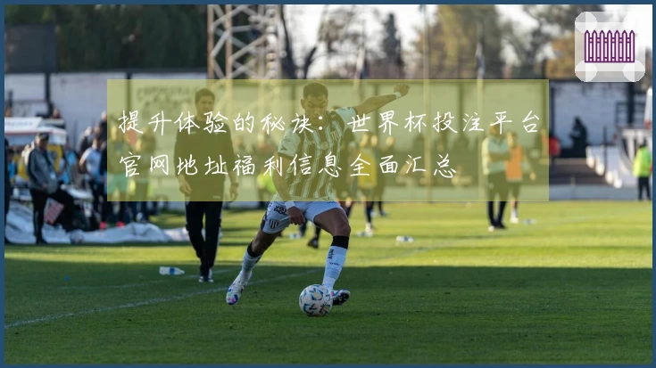 提升体验的秘诀：世界杯投注平台官网地址福利信息全面汇总