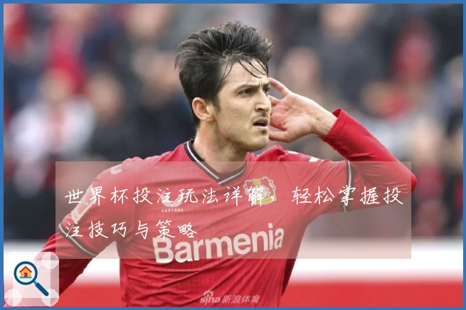 世界杯投注玩法详解，轻松掌握投注技巧与策略