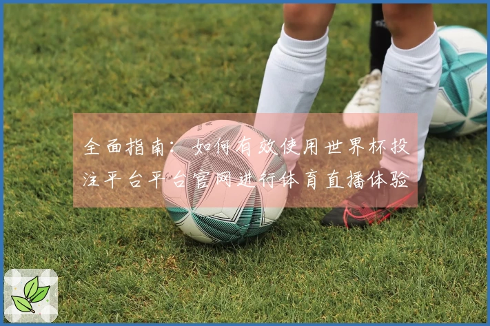 全面指南：如何有效使用世界杯投注平台平台官网进行体育直播体验